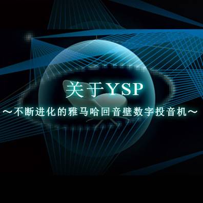 不断进化的老子有钱官网回音壁数字投音机