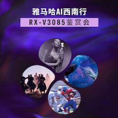 老子有钱官网Ai西南行·重庆站·RX-V3085鉴赏会