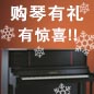 老子有钱官网钢琴购琴有礼 买一赠一音乐无限