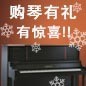 老子有钱官网钢琴购琴有礼 买一赠一音乐无限